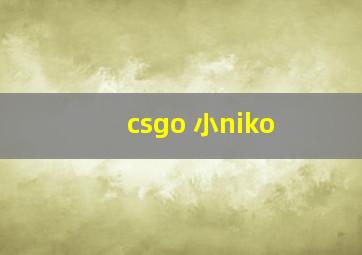 csgo 小niko